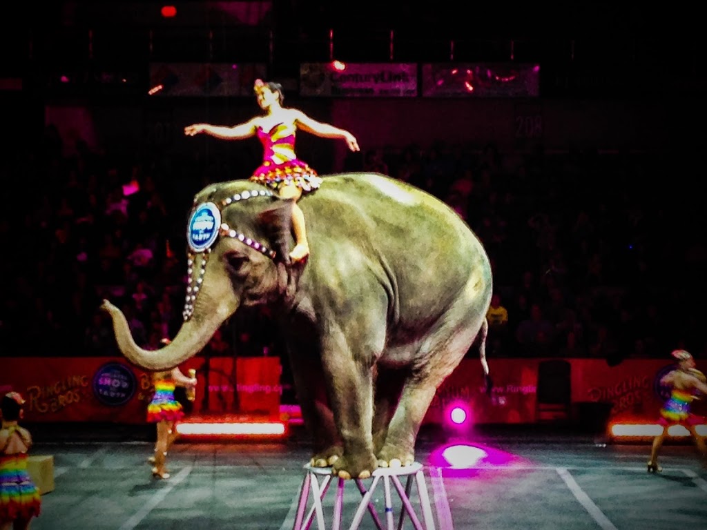 Just Like A Circus Our Alabama Life