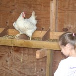 The Day the Chickens Came to the Farm