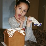 Gingerbread Houses and Our Shopping Story