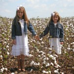 Photo-shoot in the Cotton