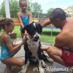 How to Bathe a Beast (AKA:  Max, an 80-pound dog)