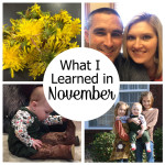 What I Learned in November