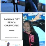 Panama City Beach:  GulfWorld