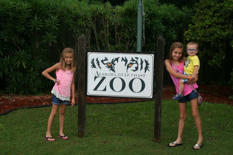 Gulf Coast Zoo