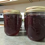 How to Make Muscadine Jelly
