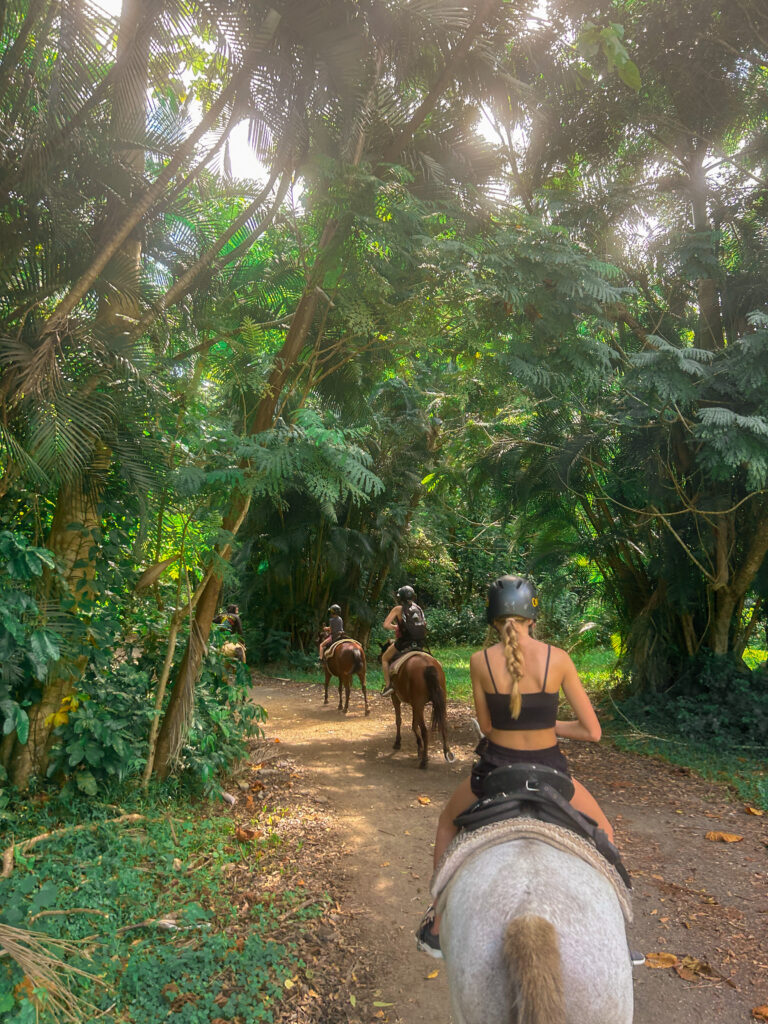 Puerto Rico travel, El Yunque rainforest, Farjado, Luquillo